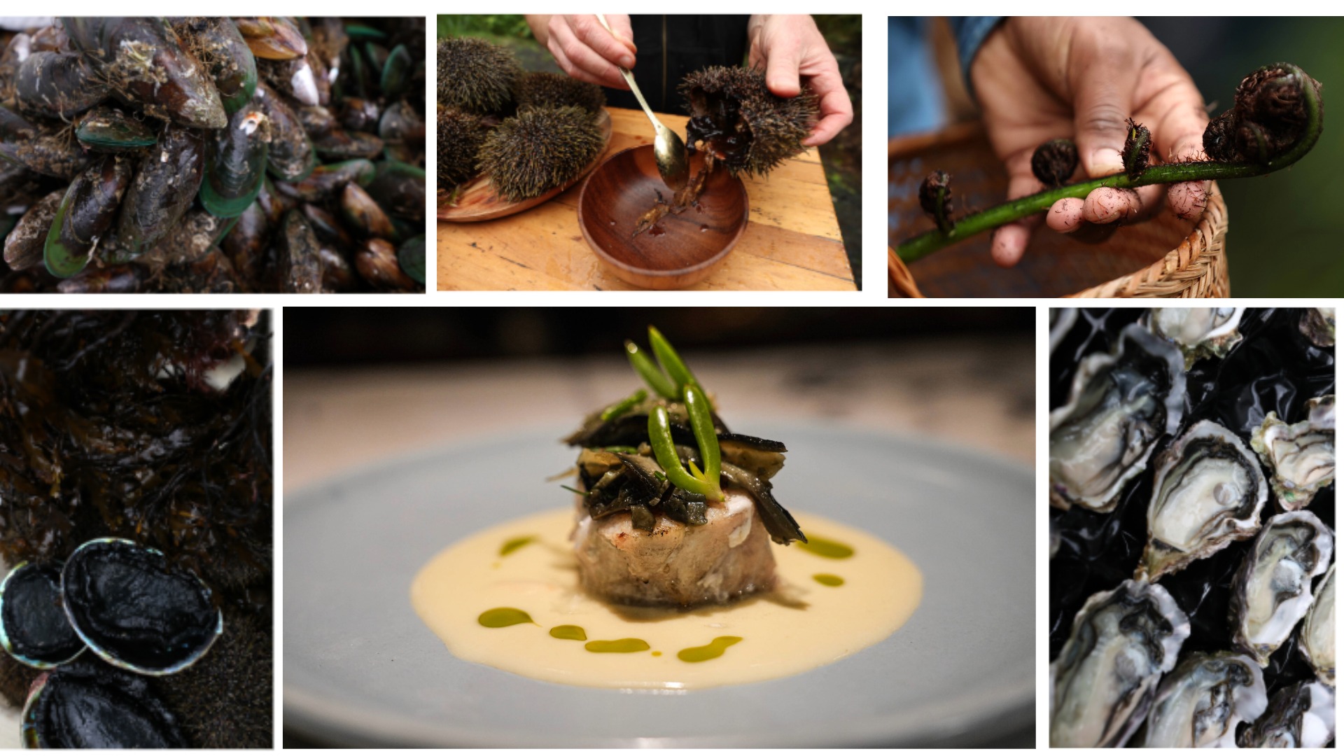 Indigenous ingredients, contemporary craft